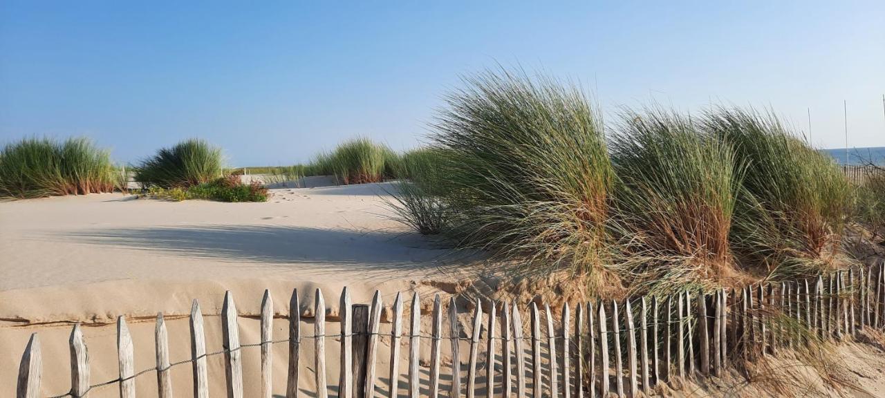 Maison Sur Le Bassin D'Arcachon La Teste-de-Buch Eksteriør bilde